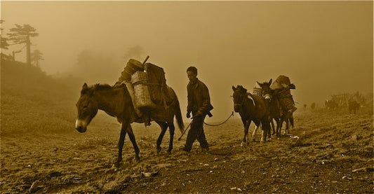 The Leaf of Legends: A Journey Through the History and Culture of Chinese Tea