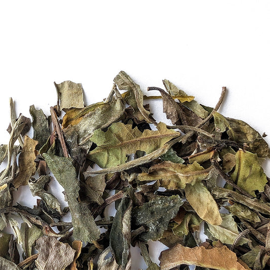 Close view of Shou Mei white tea leaves