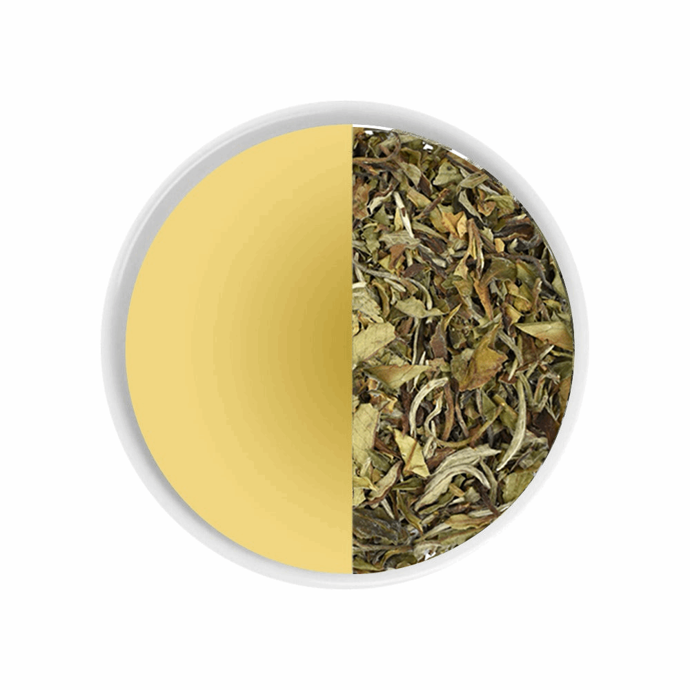 WHITEPEONY-Whitetea-Teastart-tea vs tea water