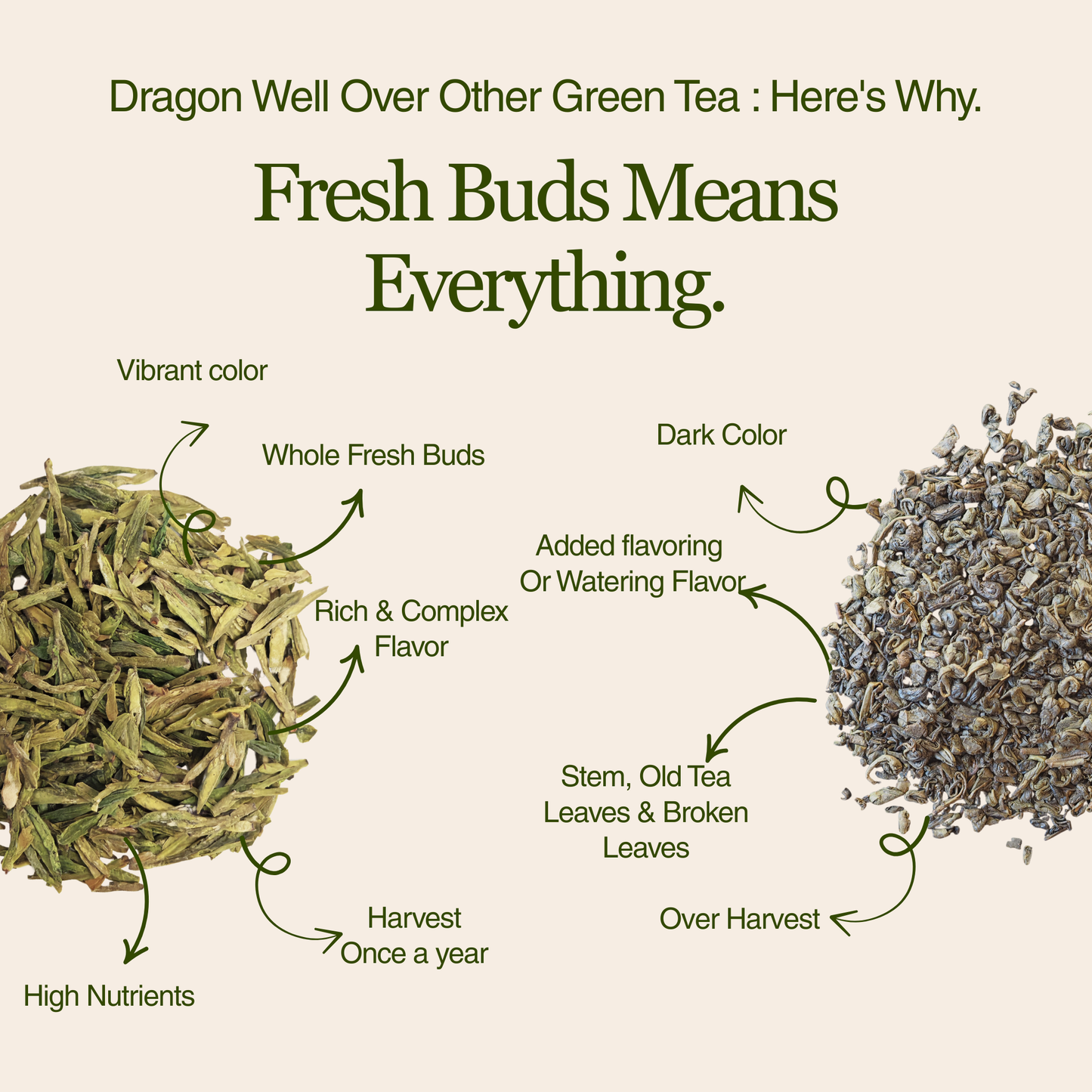 Dragon Well - Green Tea