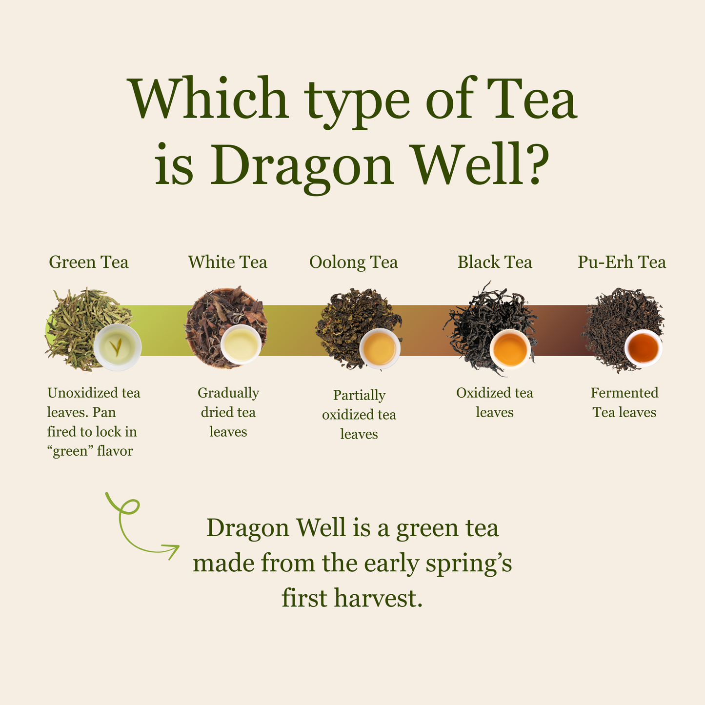 Dragon Well - Green Tea