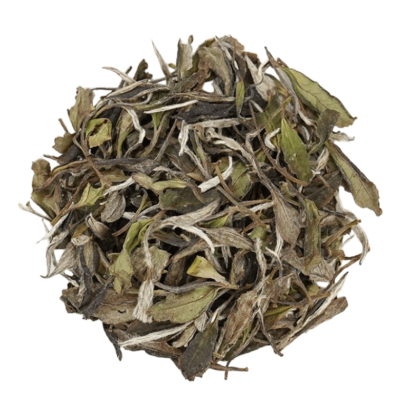 WHITE PEONY-White tea - Tea Start - White Tea- Tea Start