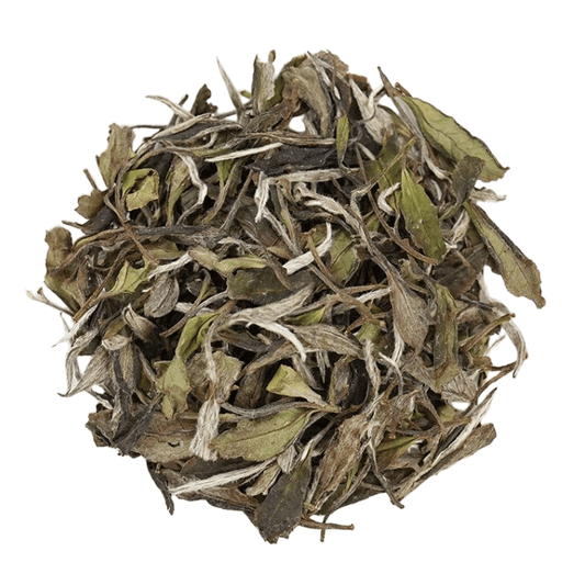 WHITE PEONY-White tea - Tea Start - White Tea- Tea Start