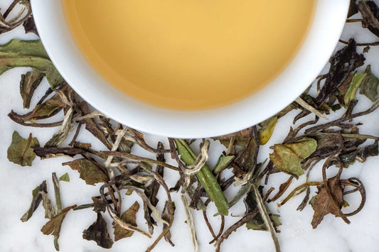 NO.1520 White Tea