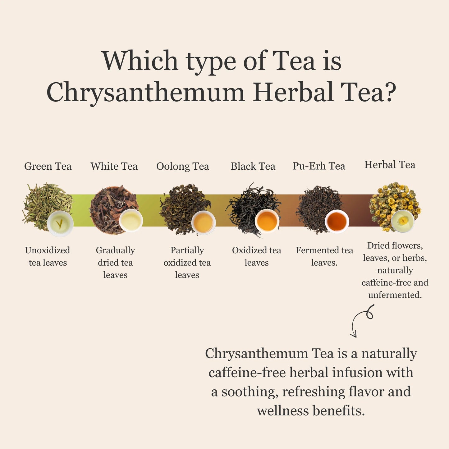 Chrysanthemum Herbal Tea – 80g/2.8oz