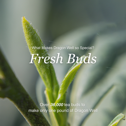 Dragon Well - Green Tea