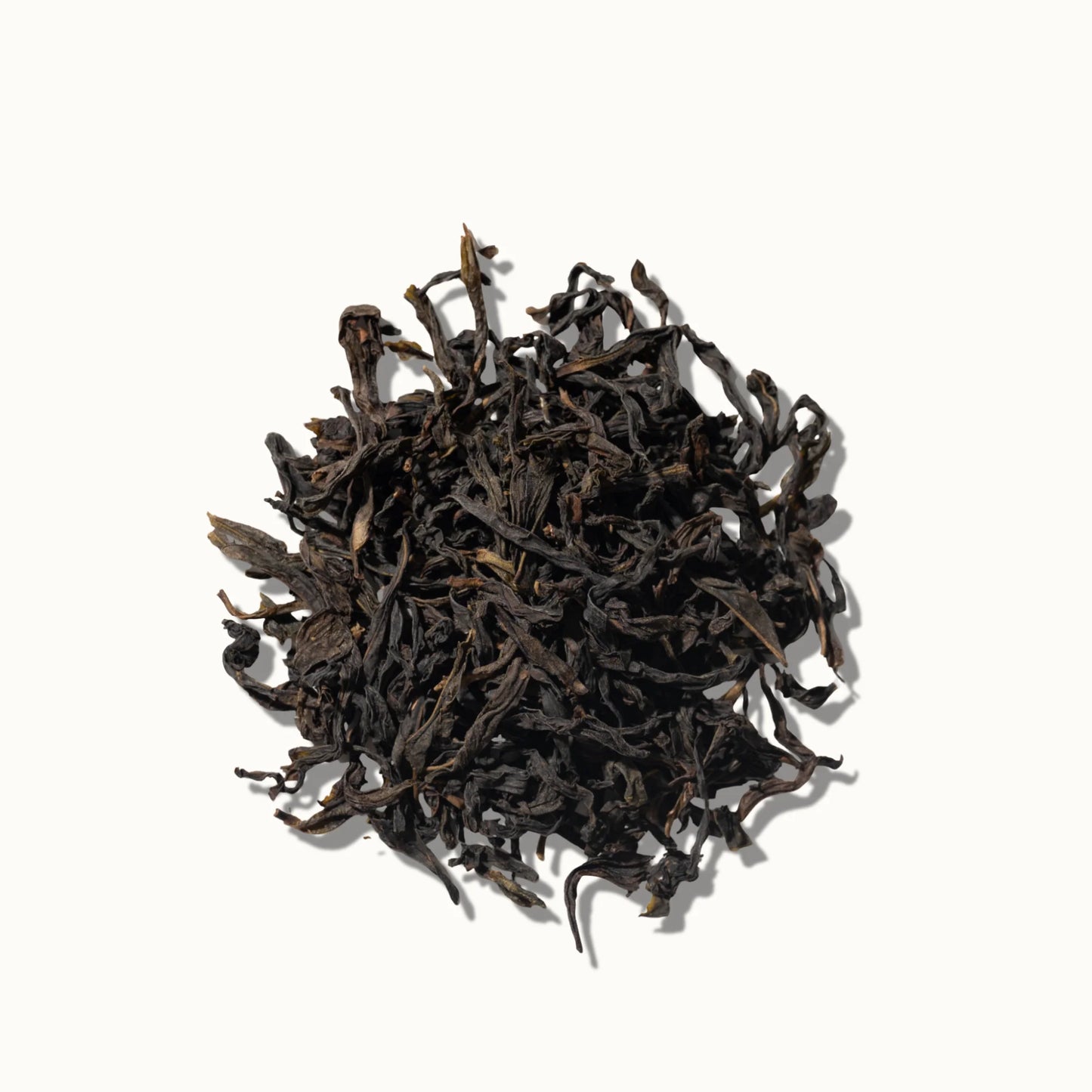 Dry leaves of Ya Shi Xiang Dancong oolong tea