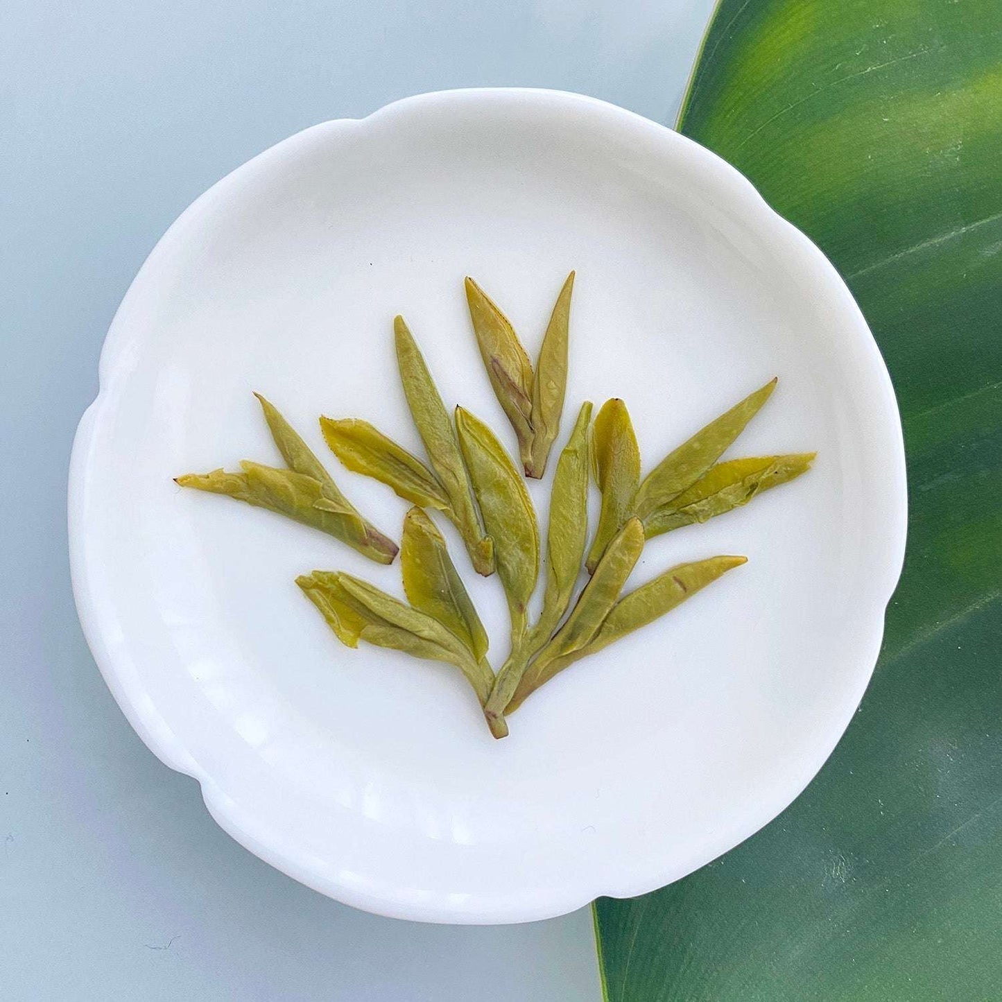 Dragonwell- Longjing Green Tea