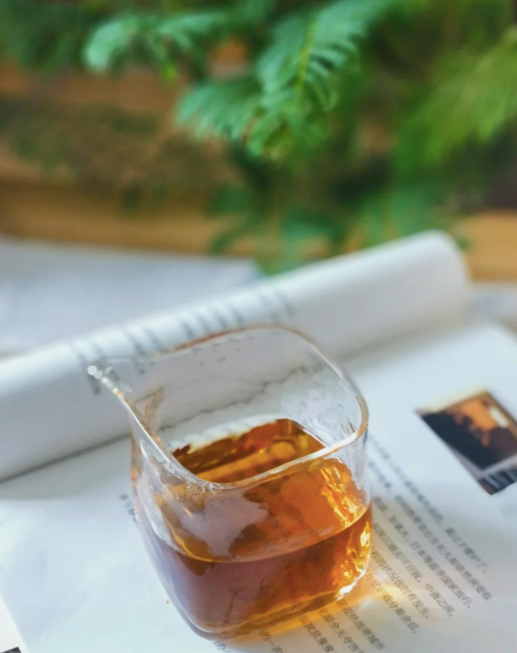 Tie guan yin oolong tea and book