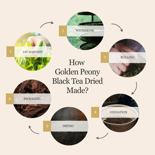 How Black Tea Is Made: Withering, Rolling, Oxidation, and Drying