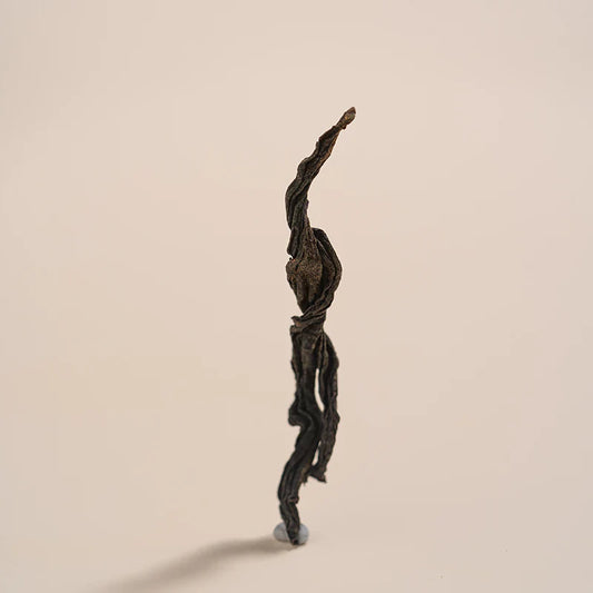 Exploring the Varieties of Chinese Tea