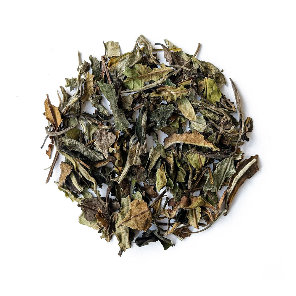 Loose-leaf Shou Mei white tea