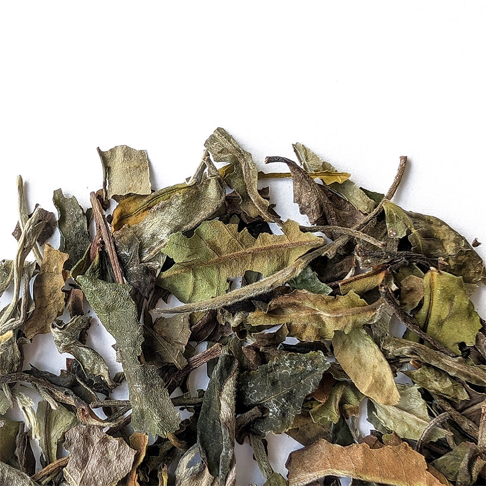 Close view of Shou Mei white tea leaves