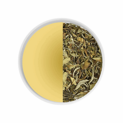 WHITEPEONY-Whitetea-Teastart-tea vs tea water