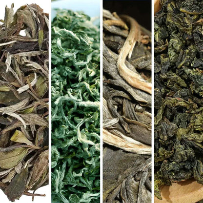 The Explorer's Journey Box - A Diverse Tea Experience