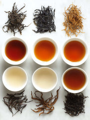 The Explorer's Journey Box - A Diverse Tea Experience