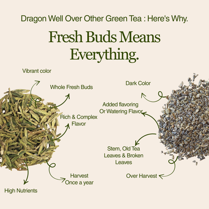 Dragon Well - Green Tea