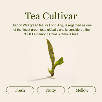 Dragon Well - Green Tea
