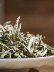 Silver Needle