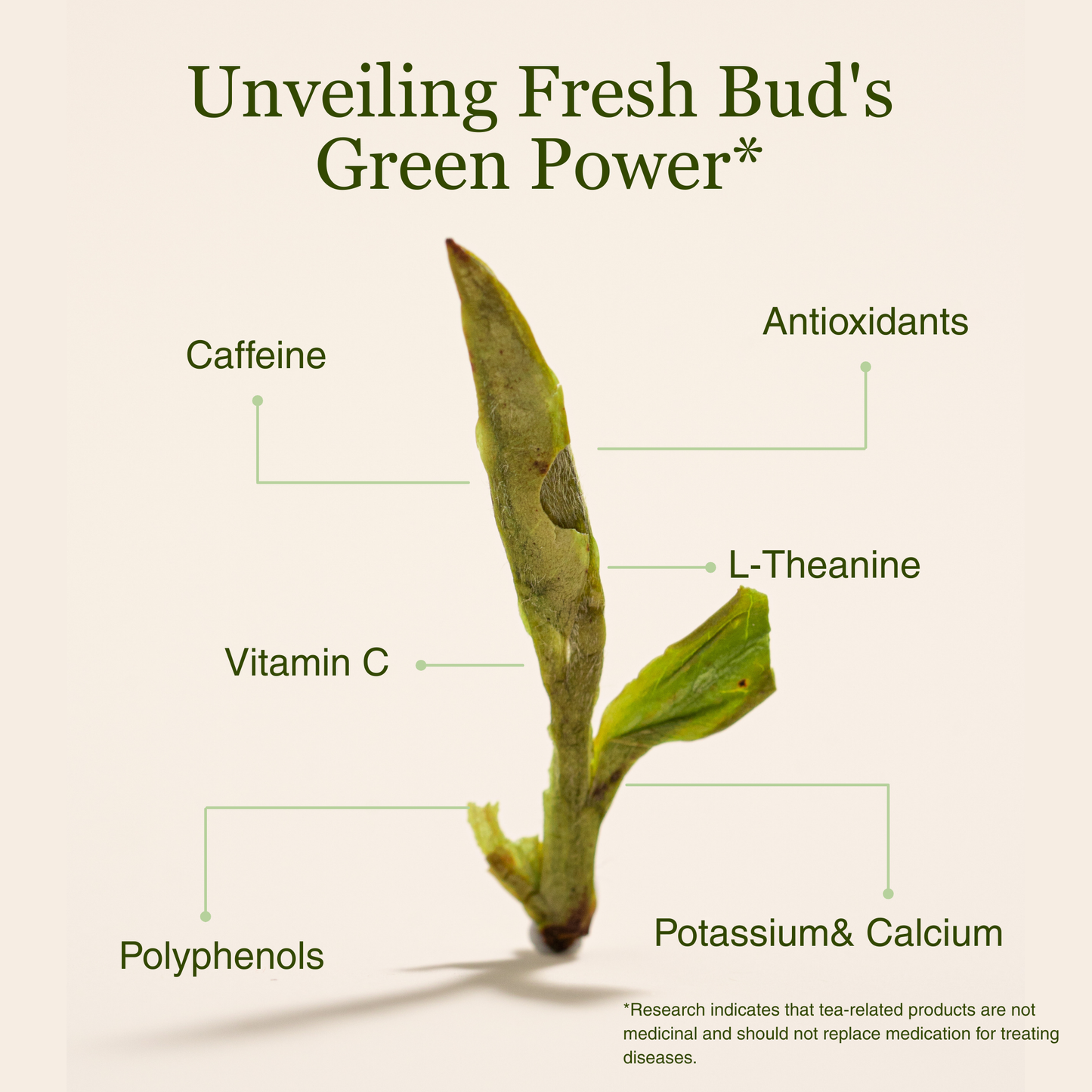 Dragon Well - Green Tea