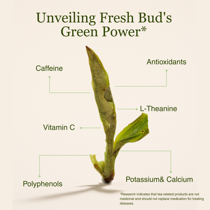 Dragon Well - Green Tea