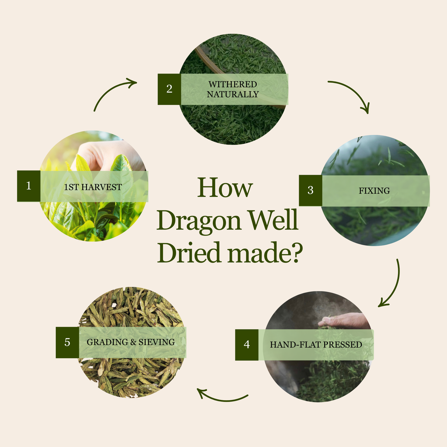Dragon Well - Green Tea