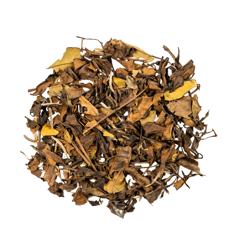 NO.1520 White Tea