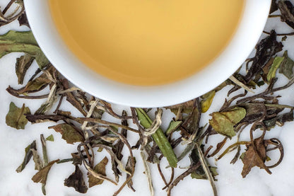 NO.1520 White Tea