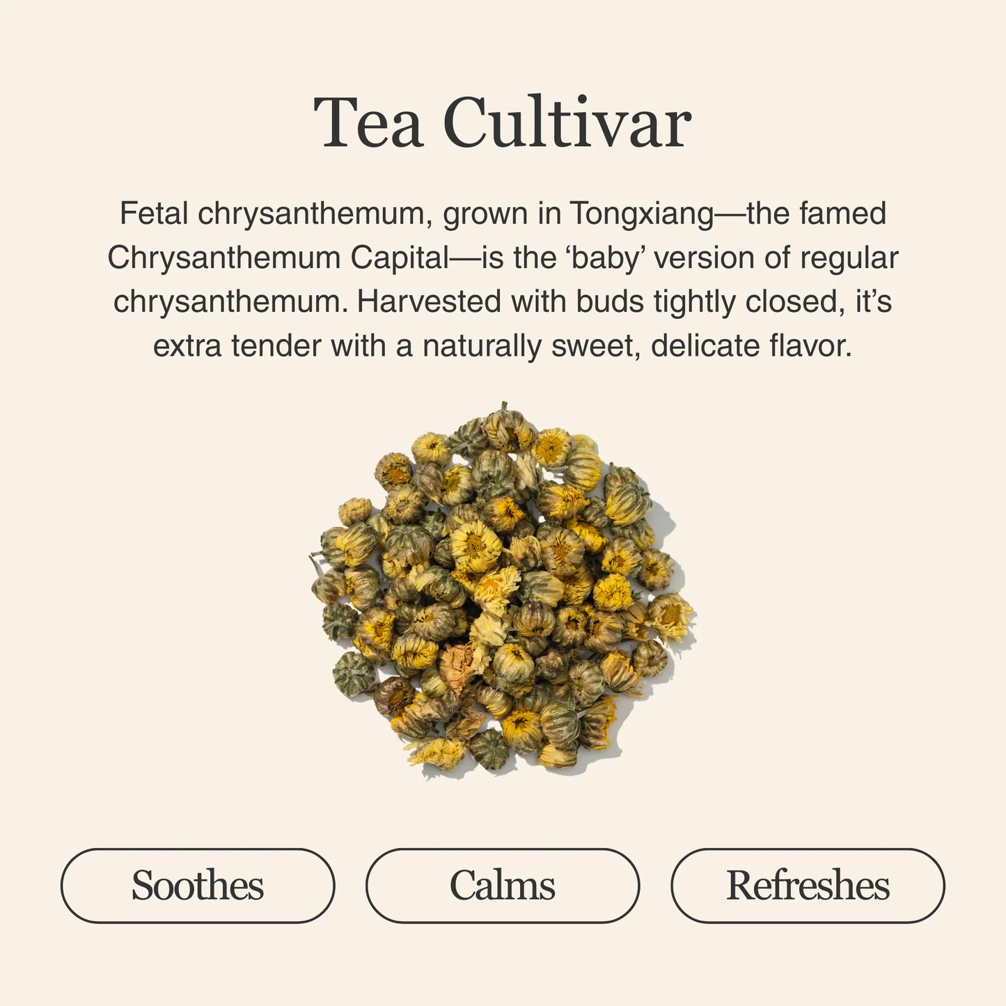 Chrysanthemum Herbal Tea – 80g/2.8oz