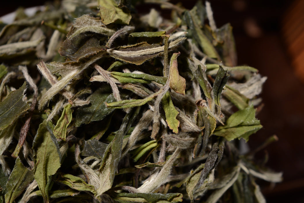 NO.1520 White Tea