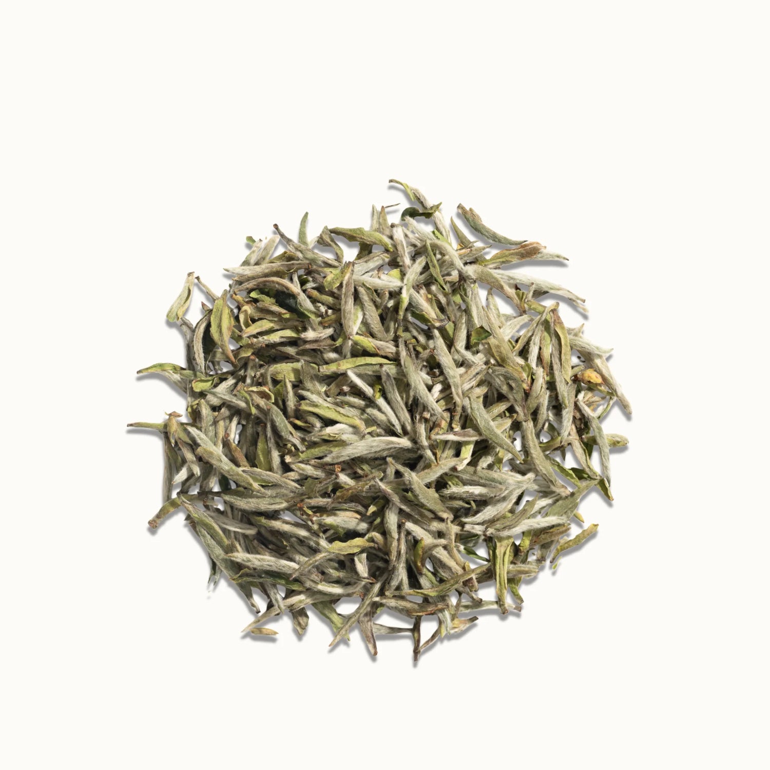 Silver Needle white tea buds