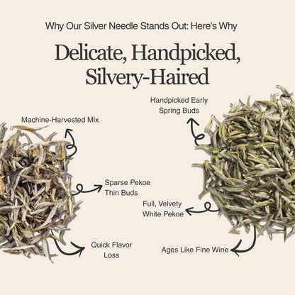 Silver Needle White Tea – 50g/1.8oz