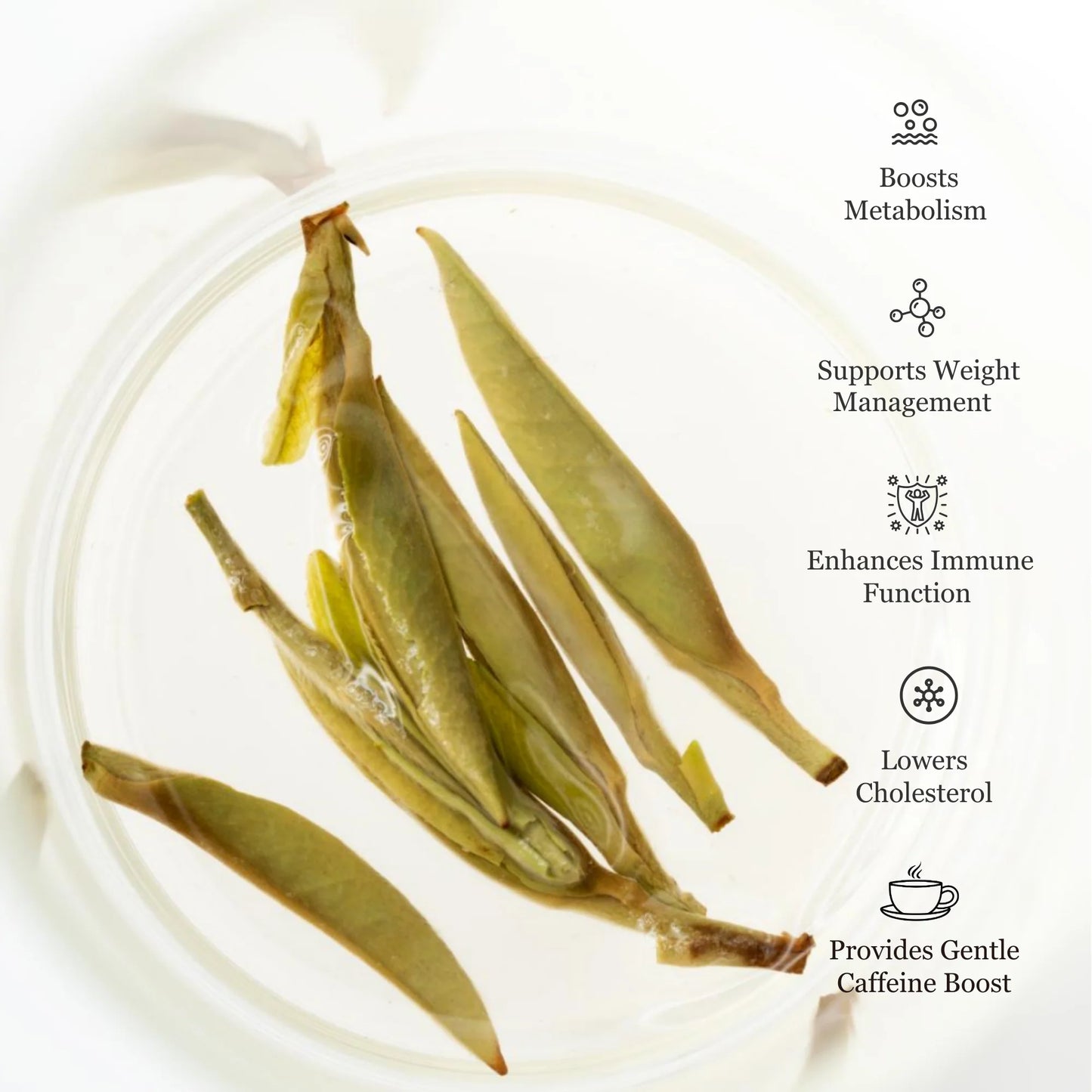 Silver Needle White Tea – 50g/1.8oz