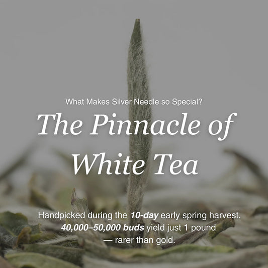 Silver Needle White Tea – 50g/1.8oz