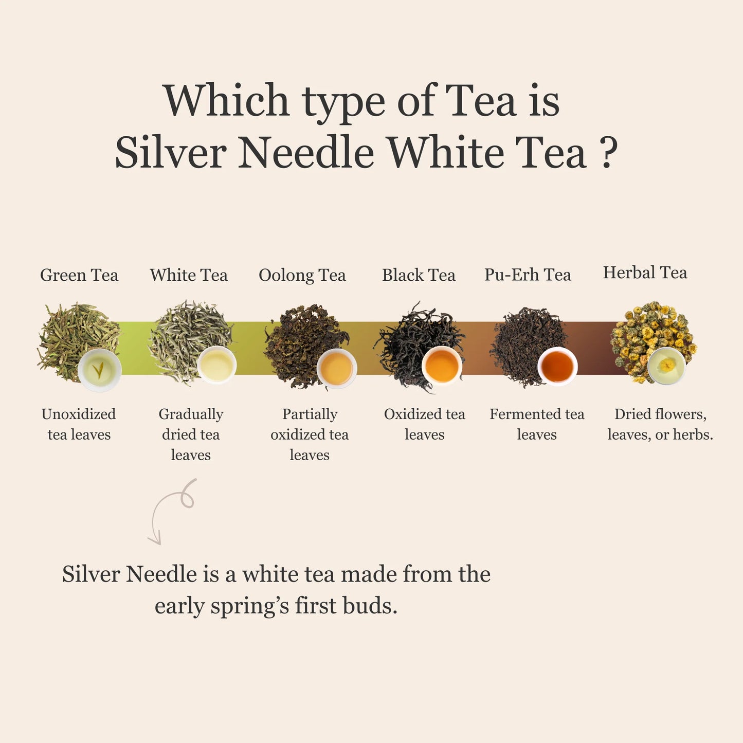 Silver Needle White Tea – 50g/1.8oz