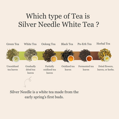 Silver Needle White Tea – 50g/1.8oz