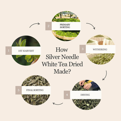 Silver Needle White Tea – 50g/1.8oz