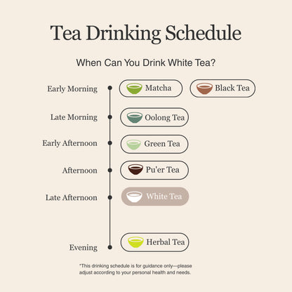 Silver Needle White Tea – 50g/1.8oz