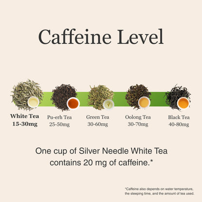 Silver Needle White Tea – 50g/1.8oz