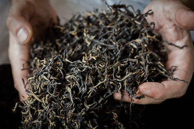 Tea Farmers-Roasted Tea-Black Tea