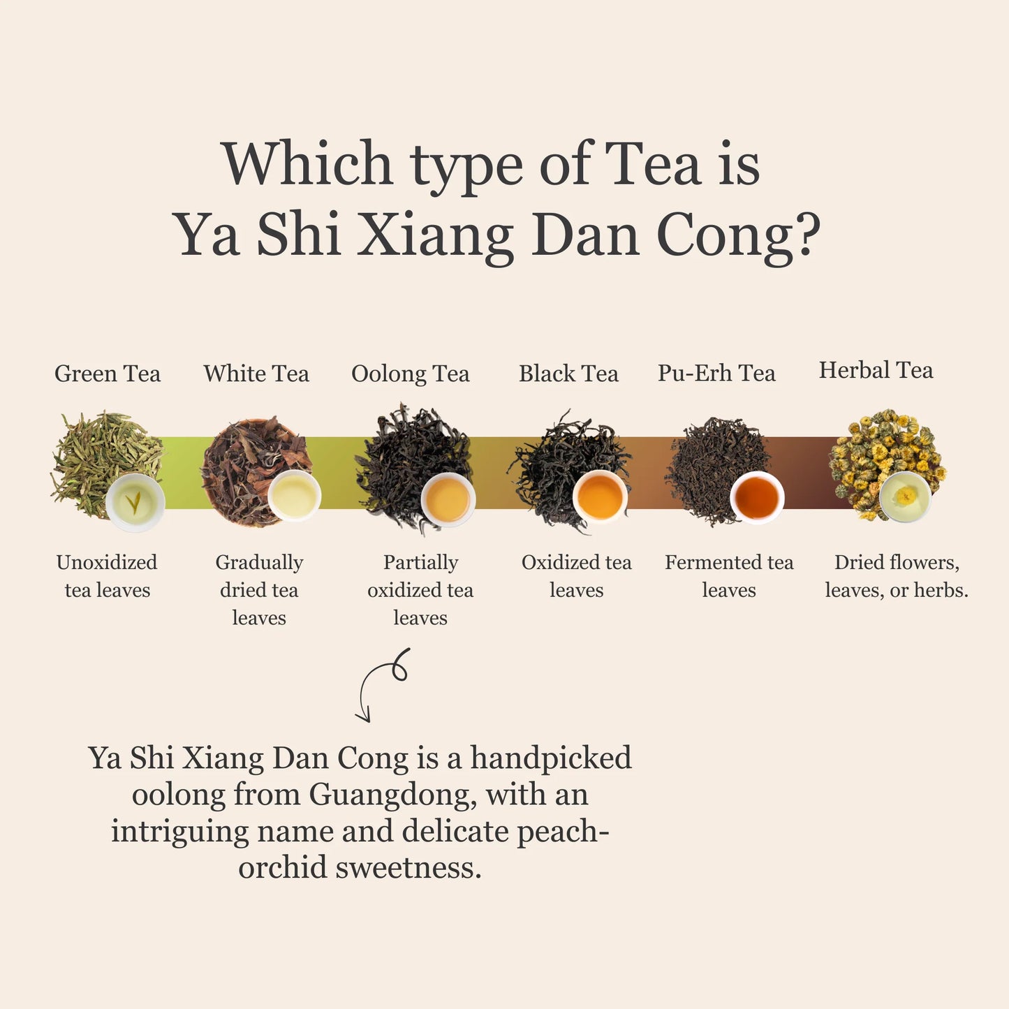 Phoenix Oolong (Ya Shi Xiang) Dan Cong – 50g/1.8oz