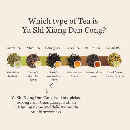Phoenix Oolong (Ya Shi Xiang) Dan Cong – 50g/1.8oz