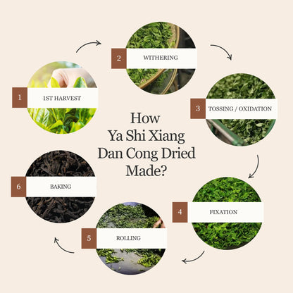 Phoenix Oolong (Ya Shi Xiang) Dan Cong – 50g/1.8oz