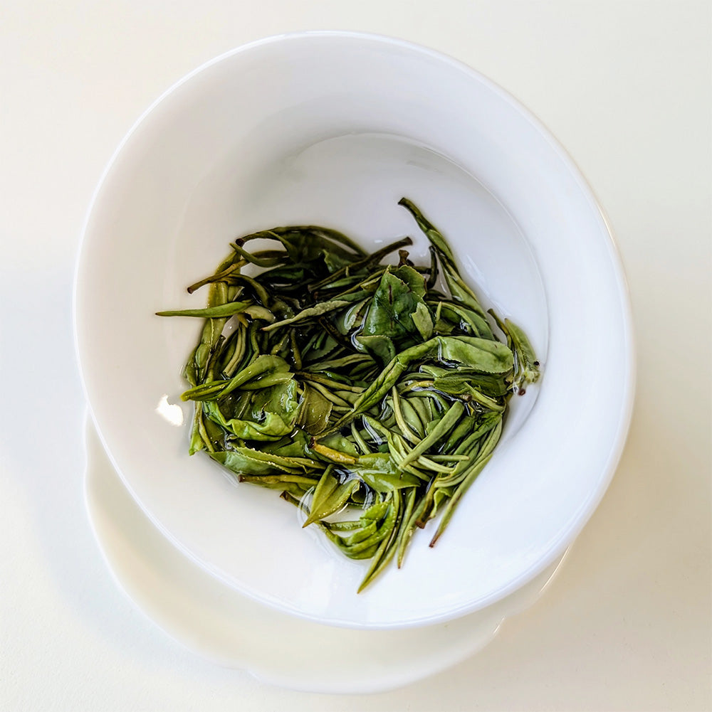 Anji White Tea - Fresh & Sweet Green Tea - Tea Start - Green tea- Tea Start