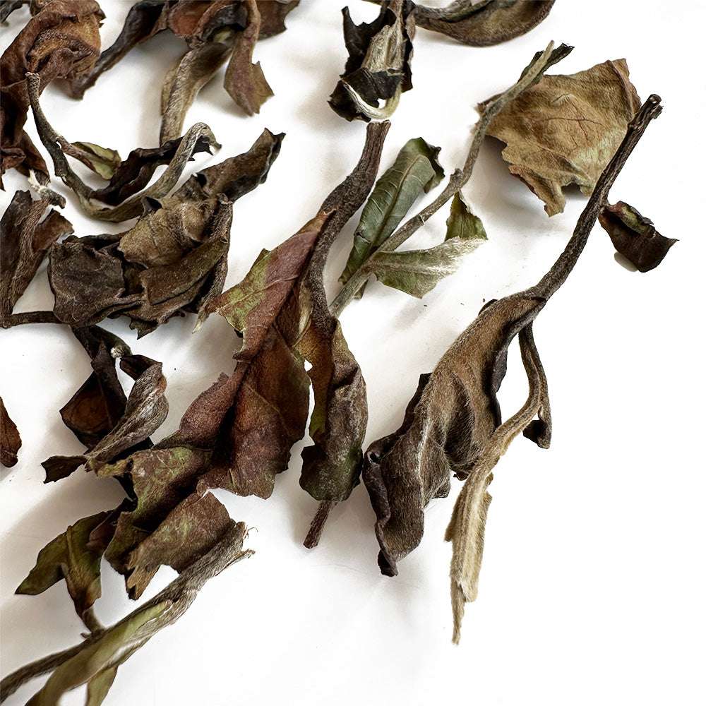 aged white tea yunnan