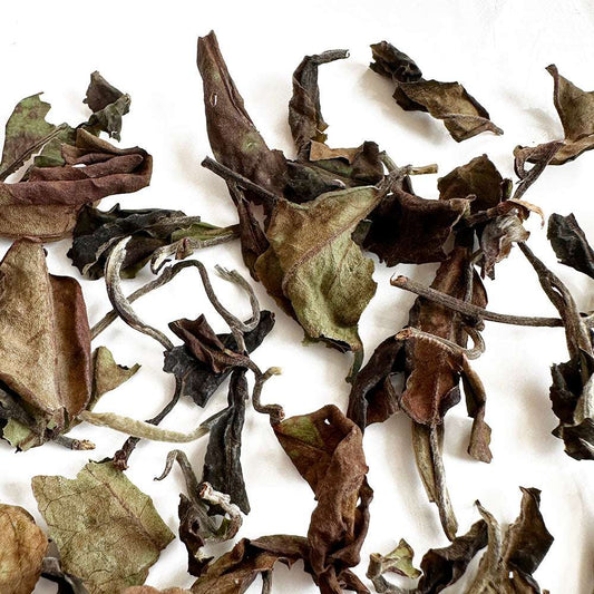 mang fei aged white tea