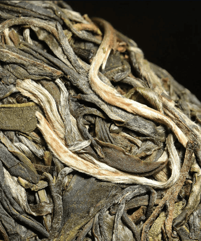 Da xue shan Pu'er Tea - Tea Start - Pu-Erh- Tea Start